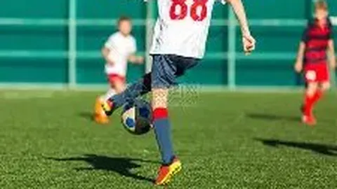 三峡影像纪实：新闻摄影二十载，汗水与荣耀绘卷