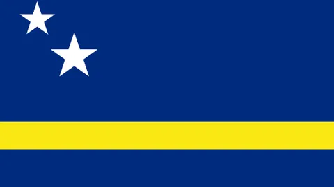 王岚嵚获弗格传球，外线三分命中